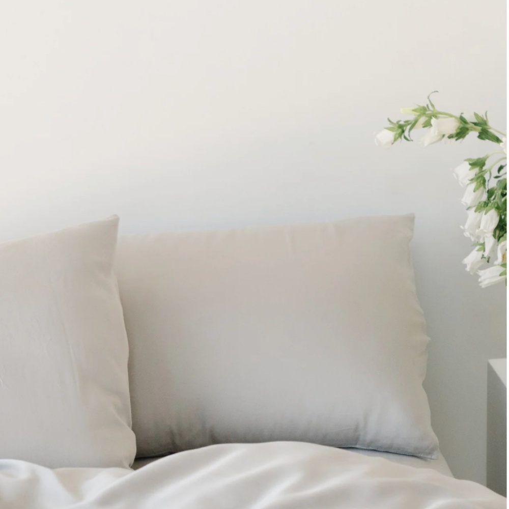 Cozy Earth Bamboo Sheet Set in Queen size